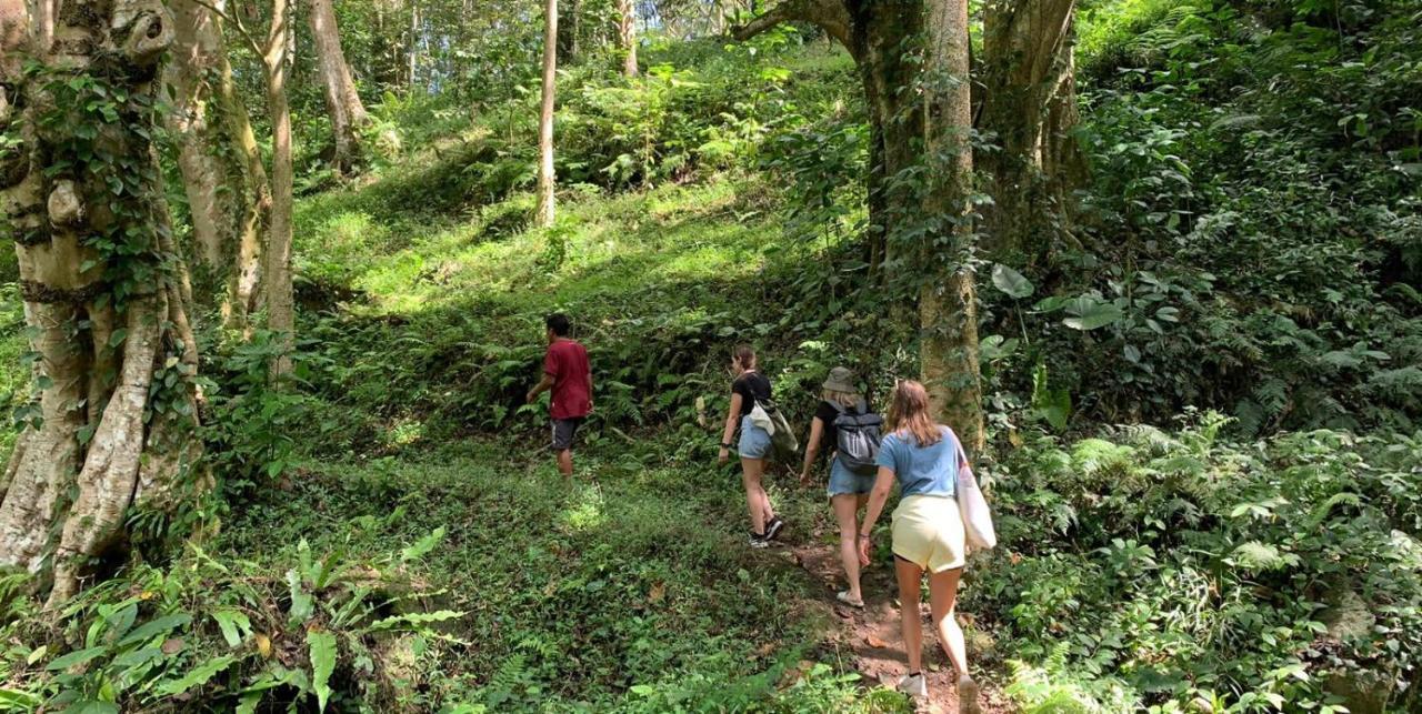 Edrian Bungalows Tetebatu Luaran gambar